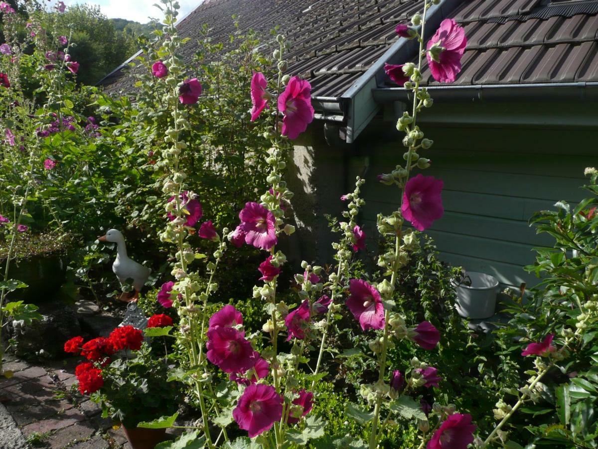 Roulotte La Dominique Bed & Breakfast Romery  Exterior photo